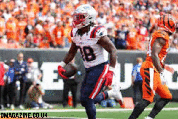 New England Patriots vs Bengals Match Player Stats