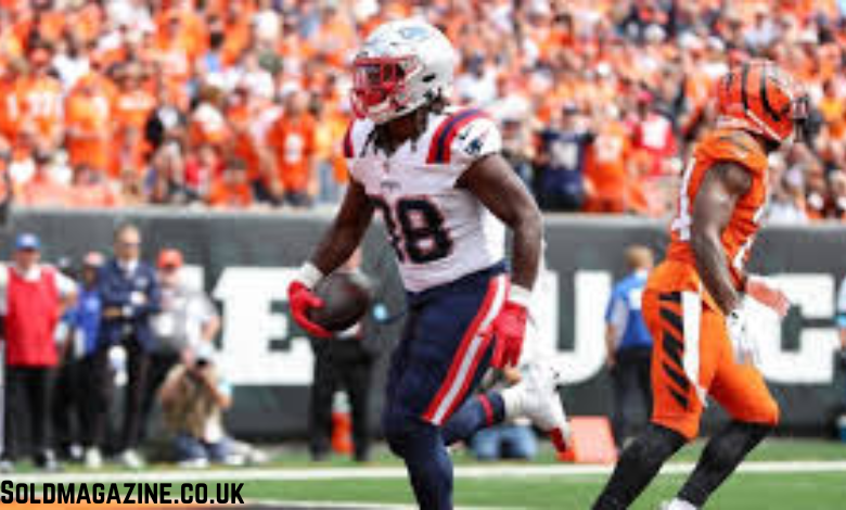 New England Patriots vs Bengals Match Player Stats