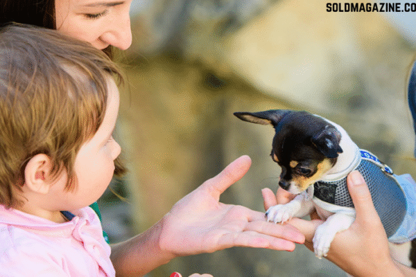 A New Mom’s Guide to Handling Pets and Kids pet grooming in Cocoa Beach