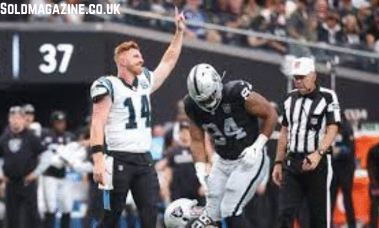 carolina panthers vs las vegas raiders match player stats