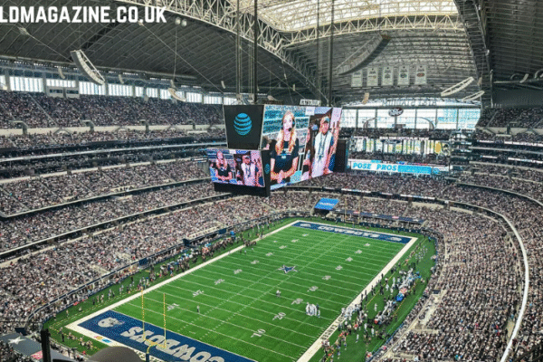 From Underdogs to Favorites: Tracking How NFL Teams Move the Odds NFL Teams