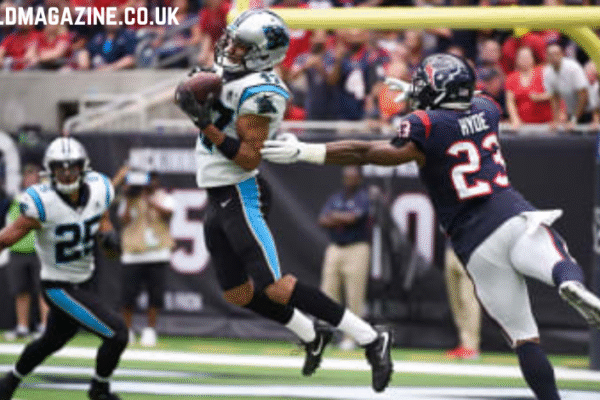 carolina panthers vs houston texans match player stats