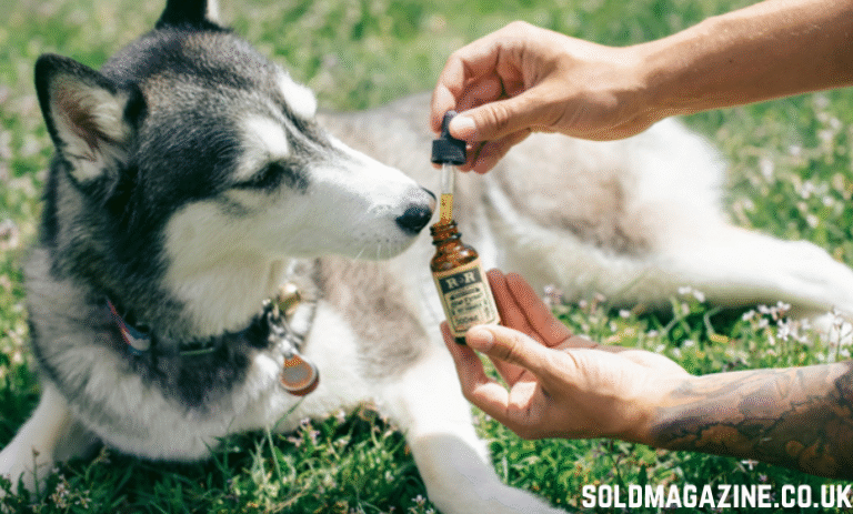 Joint Supplements for Dogs
