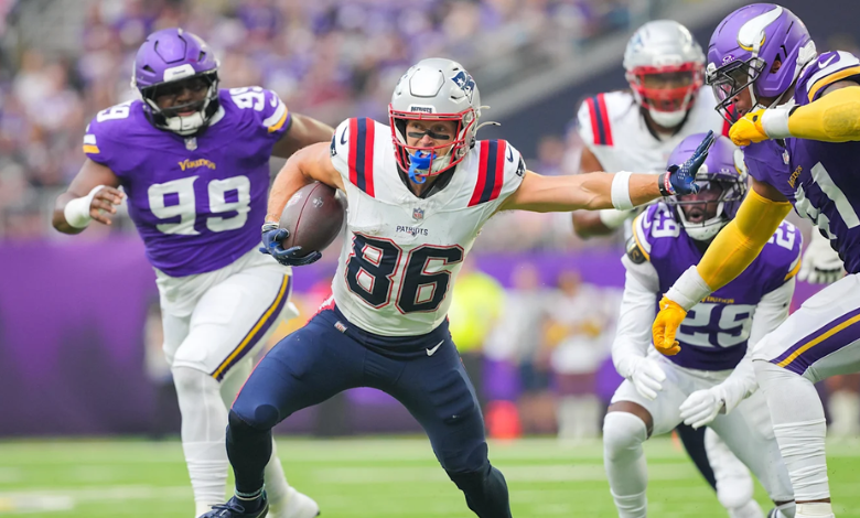 new england patriots vs minnesota vikings match player stats