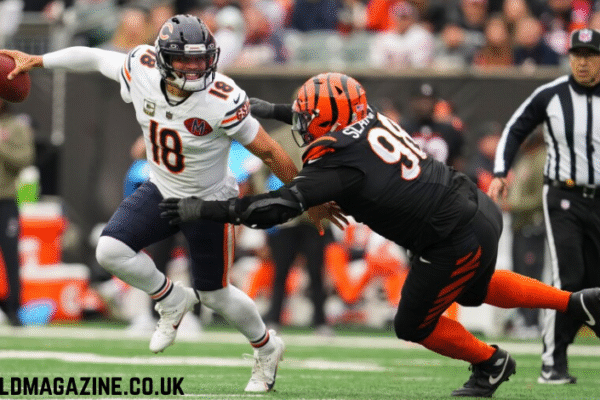 bengals vs chicago bears match player stats