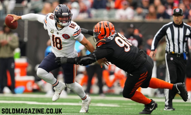 bengals vs chicago bears match player stats