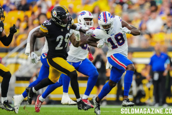 buffalo bills vs pittsburgh steelers match player stats