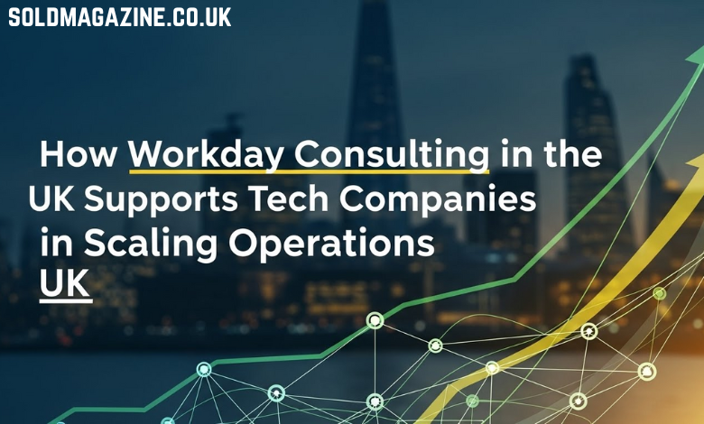 Workday Consulting in the UK