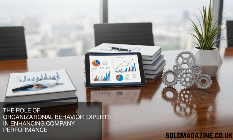 organizational behavior consulting