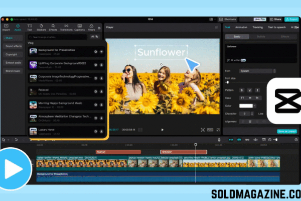 Online Photo Editing Tools