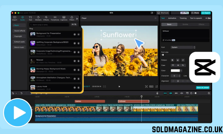 Online Photo Editing Tools