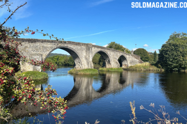 estate agents offering expert support