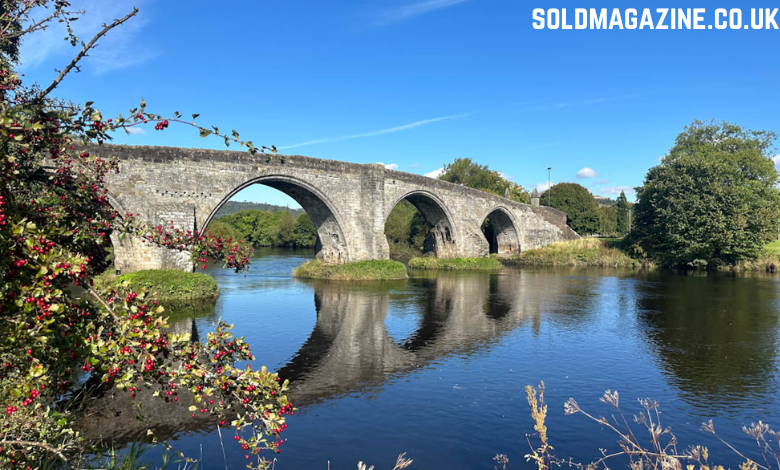 estate agents offering expert support